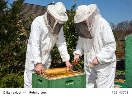 Imker (Bienenzüchter)